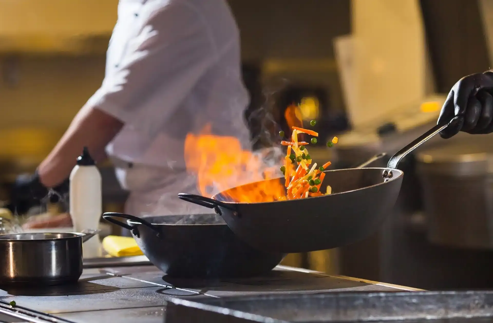 Bucătar la Restaurant Donaudelta, restaurant românesc în Viena